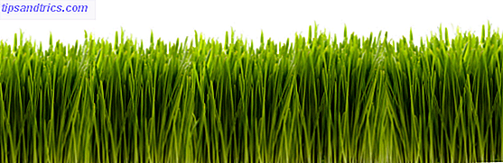 9 måter å bli mer populære på Facebook [Weekly Facebook Tips] Green Grass