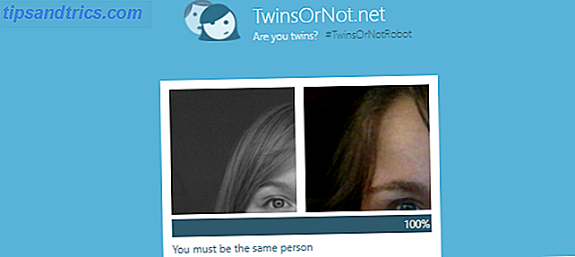 3 Fascinerende søkemotorer som søker etter ansikter TwinsOrNot