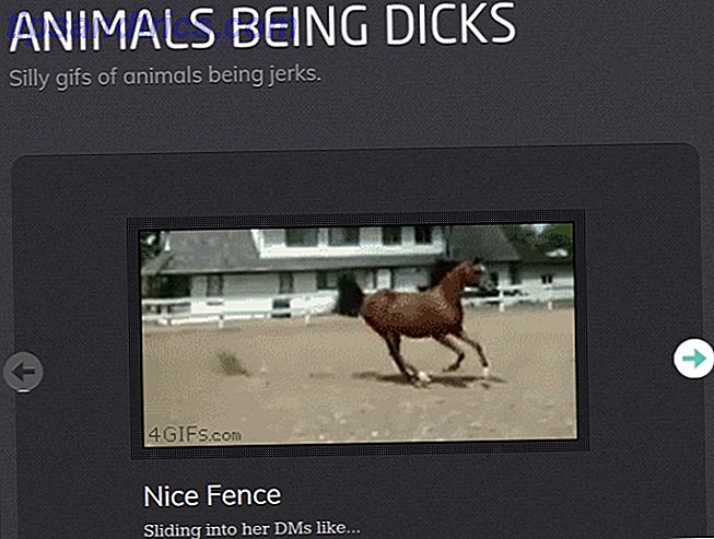 20 Διασκέδαση πράγματα που πρέπει να κάνετε on-line όταν είστε βαρεθεί στην εργασία ζώα που είναι dicks screenshot