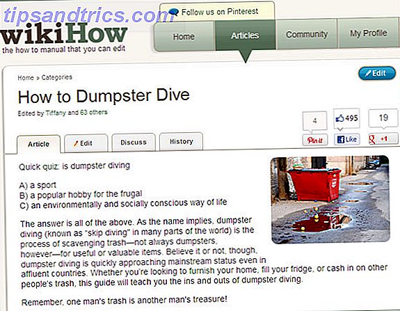10 Geweldige online bronnen ter ondersteuning van uw Dumpster Diving Lifestyle dumpster dive01