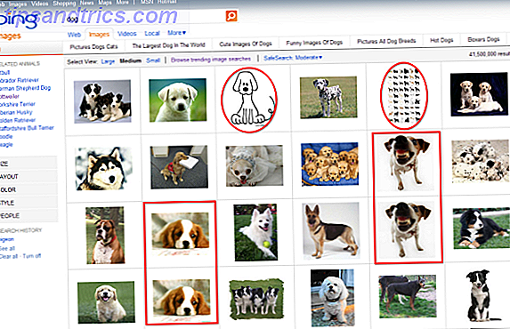 La búsqueda de imágenes de Bing una vez desafió a Google, ofreciendo más características y un mejor diseño.  Con un desplazamiento infinito y la capacidad de buscar imágenes similares, Bing fue legítimamente mejor que Google en la búsqueda de imágenes hace unos pocos años.