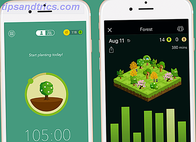 Application de gestion de temps iOS dans la forêt