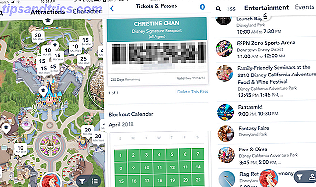 Offisiell Disneyland App