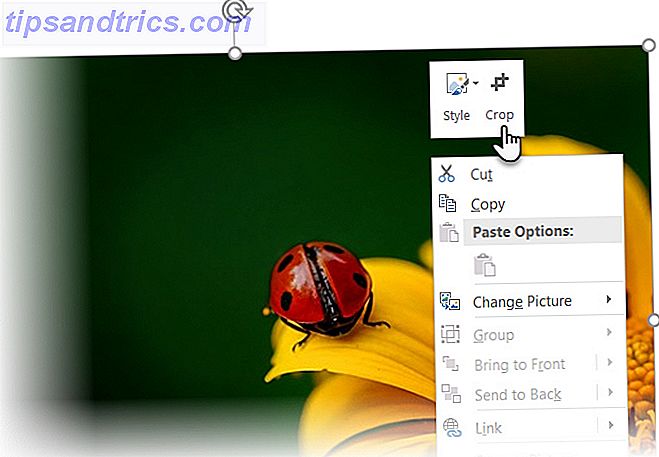 Aprendamos tres maneras fáciles de recortar o cambiar el tamaño de fotos e imágenes en Microsoft PowerPoint.