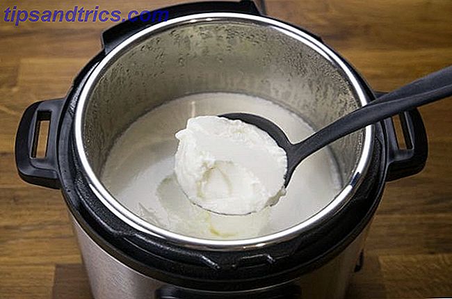 Hausgemachter Joghurt Instant Topf