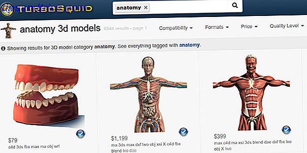 3d-anatomi-modeller-turbosquid