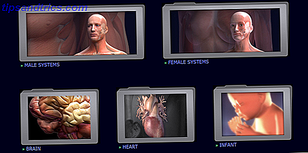 3d-anatomy-models-3dscience