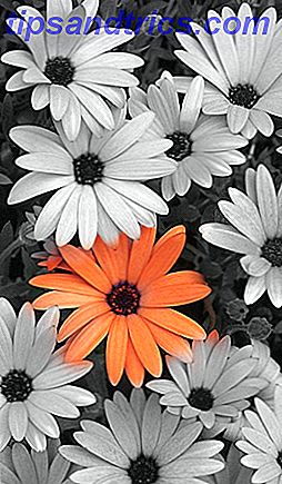 Slik selekterer du farger til svart-hvitt-bilder Snapsed Colorization