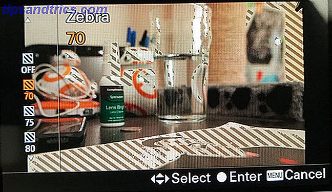speilfri kamera a6500 zebra