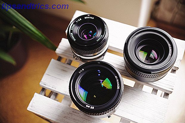 Lentes de Zoom vs. Prime Lenses: Qual a Diferença?