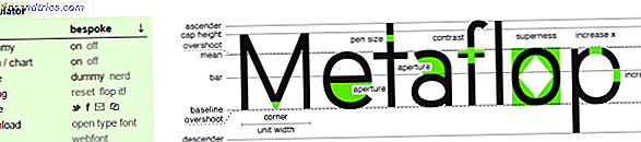 MetaFont-anatomi