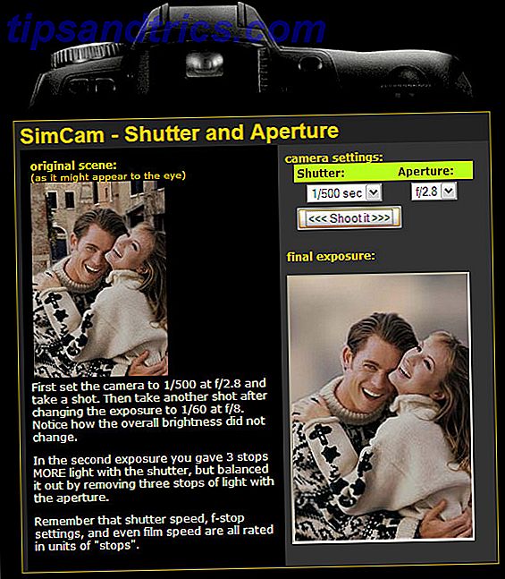 simulador de câmera online