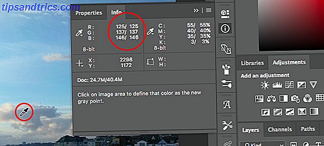 Lernen Sie Fotobearbeitung in Photoshop: Holen Sie sich die Grundlagen in 1 Stunde neutrale Farbe