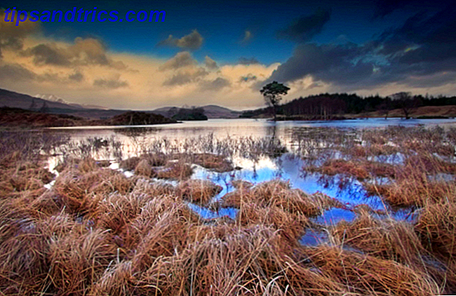 foto de paisaje de pantano