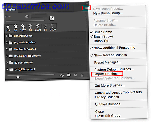 Borstels installeren in Adobe Photoshop Photoshop-penselen importeren