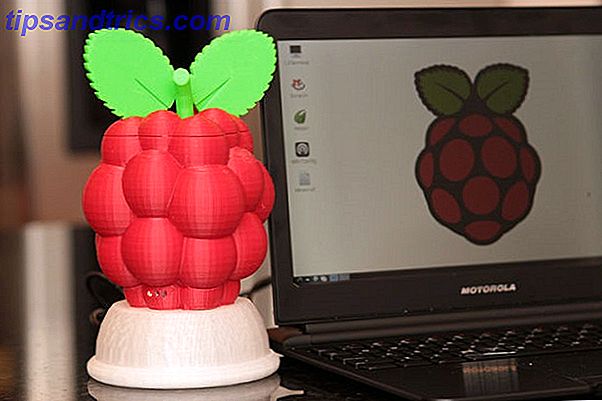 BUO-DIY-raspberrypi3dprint-bær