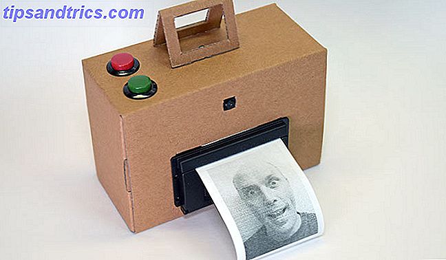 Polaroid instantâneo da câmera do Raspberry Pi