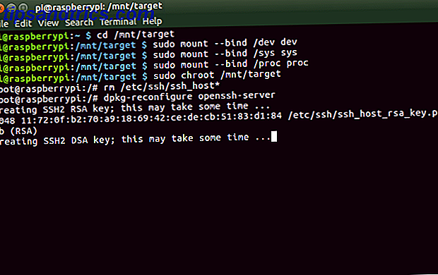 Terminal de arranque Linux Raspberry Pi 3 con USB SSH