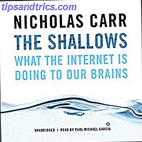 The Shallows: Hva internett gjør til våre hjerner