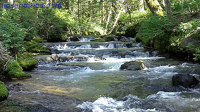 netflix-slow-tv-kaskade-mountain-streams
