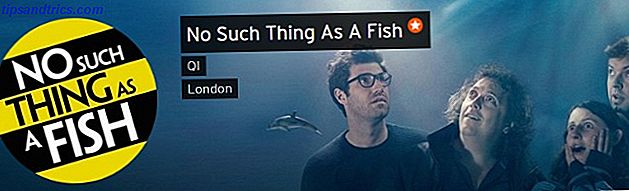 Podcast nichts wie ein Fisch