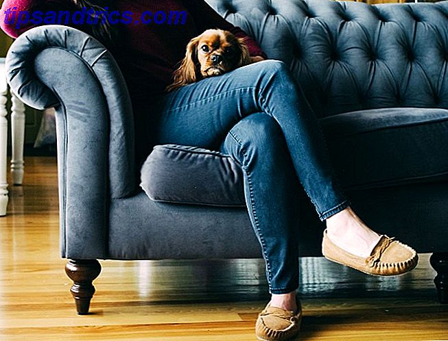 donna e cane seduto sul divano
