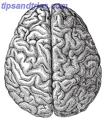 Dementiapiece-Gehirn