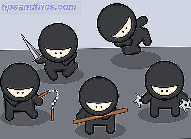 ninjaer