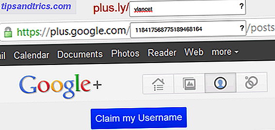 Google plus URL-Name