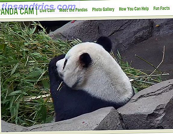 De 5 fedeste hjemmesider at gå på en Virtual Adventure panda cam