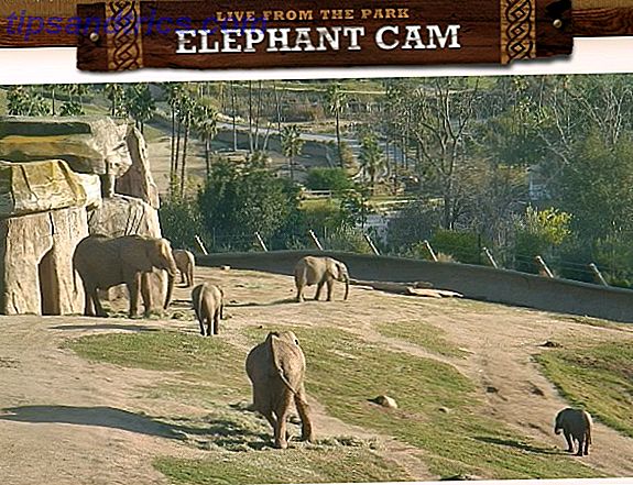 De 5 fedeste hjemmesider at gå på en virtuelt eventyr elefant cam