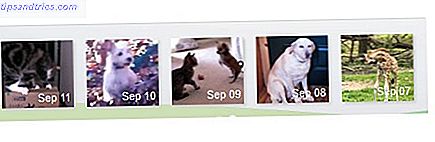Cuterr: Obtenha sua dose diária de vídeos bonitos de animais em setembro