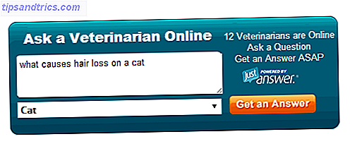 petmd-be-a-vet-online