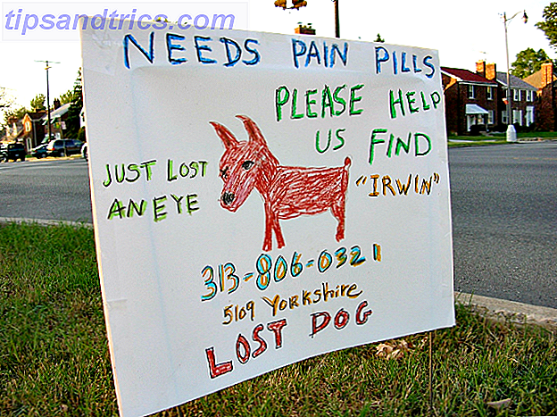 lost-dog-help-request