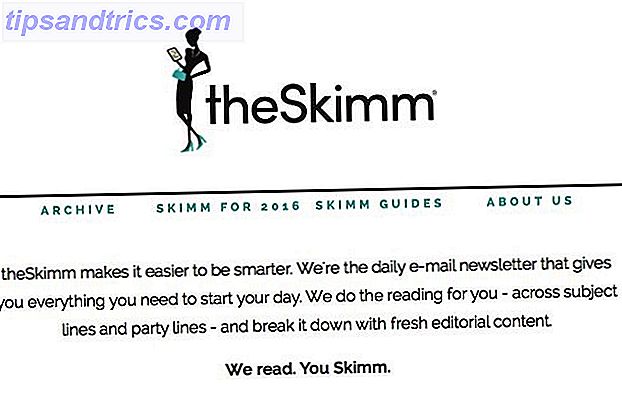 Theskimm-Homepage