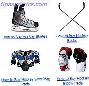 sitios web de hockey