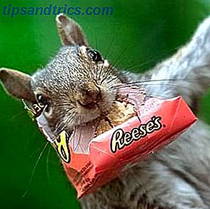 Der Buchstabe g.  Eichhörnchen essen Dinge, die sie normalerweise nicht tun würden.