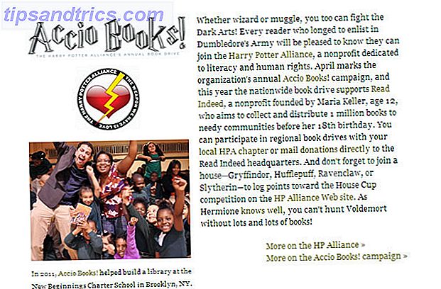 Non-profit: Harry Potter Alliance