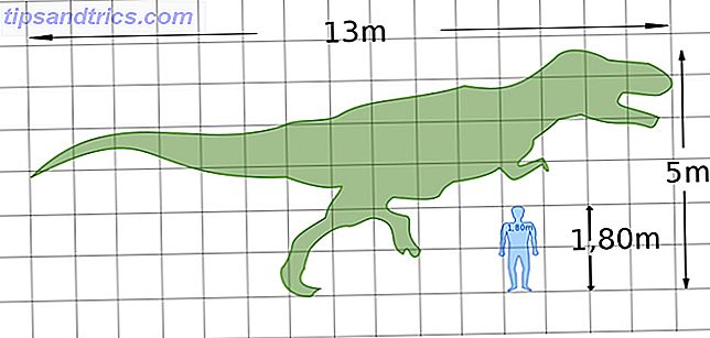 comparações de tamanho humano animal