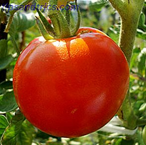 Aplicación web Pomodoro Tomato.es ¿Es simple la gestión del tiempo?