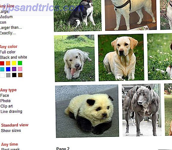 Bing vs búsqueda de imágenes de Google
