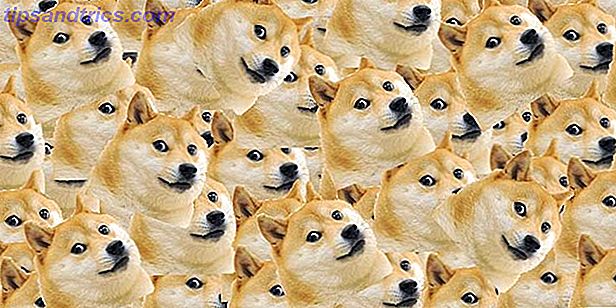 dogecoin-community-users