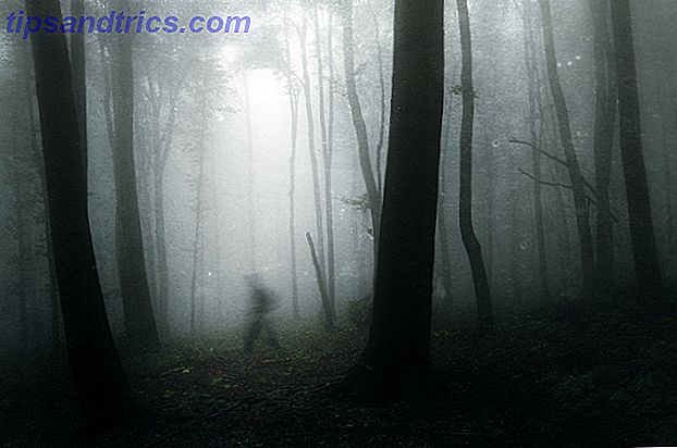 fantasma na floresta