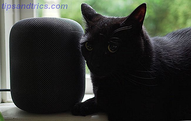 HomePod mit schwarzer Katze