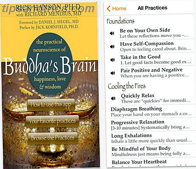 buddhas hjärnans app