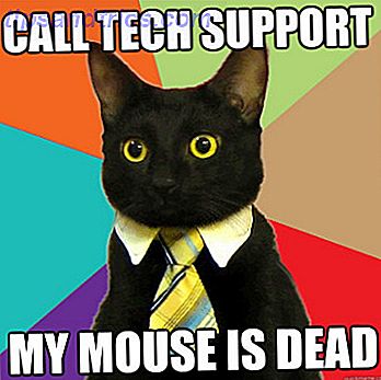 Suporte técnico de negócios para o Meme Cat