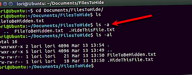 Ver archivos ocultos en la Terminal en Linux