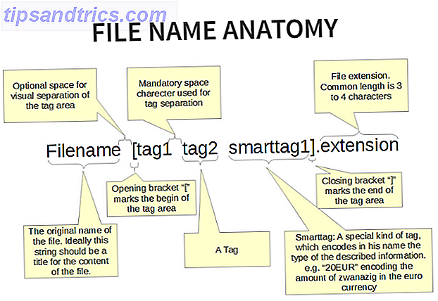 tagspaces-nom de fichier-anatomie
