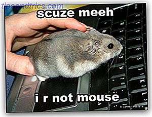 ποντίκι