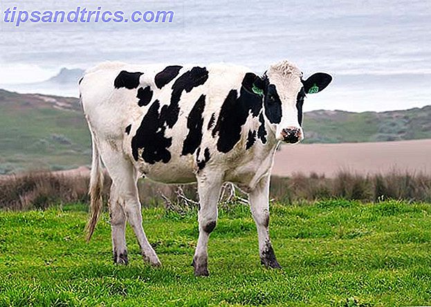 linux_runs_cow_milking